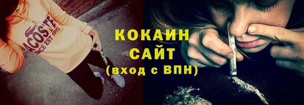 индика Нефтегорск