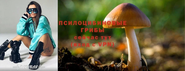 индика Нефтегорск