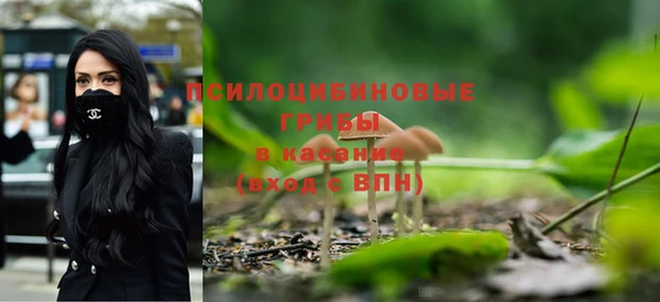 индика Нефтегорск