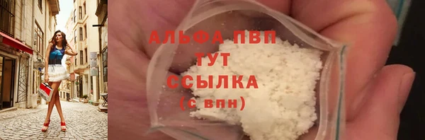 индика Нефтегорск