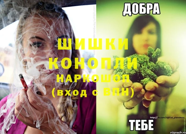 МДПВ Болохово