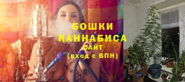 индика Нефтегорск
