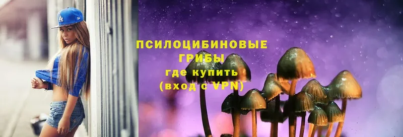 Галлюциногенные грибы Magic Shrooms  дарнет шоп  Пучеж 