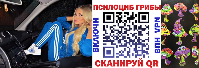 Псилоцибиновые грибы мицелий  кракен рабочий сайт  Пучеж 